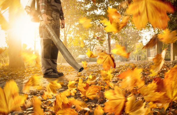 Leaf Blowing Service in Santa Fe
