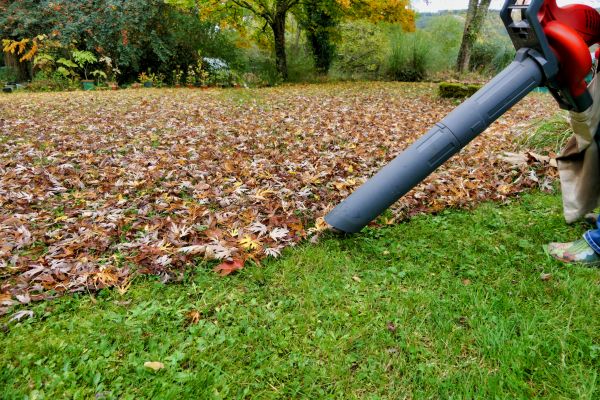 Leaf Vacuuming Service in Santa Fe