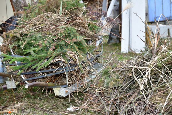 Yard Debris Removal in Santa Fe