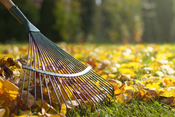 Leaf Raking Service in Santa Fe