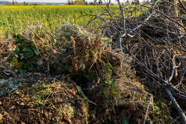 Brush Disposal in Santa Fe