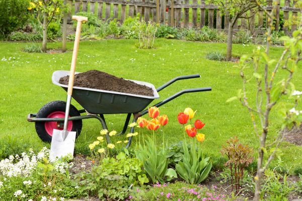 Spring Yard Cleanup in Santa Fe