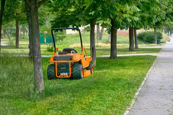 Landscaping Cleanup Service in Santa Fe