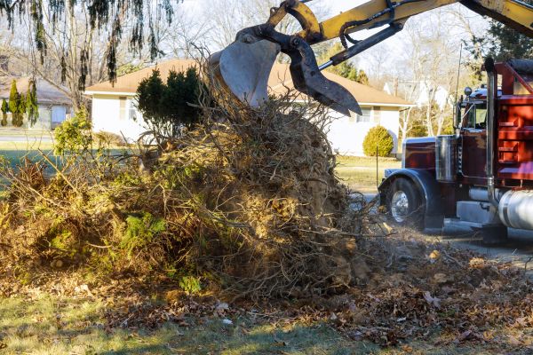 Storm Debris Removal in Santa Fe