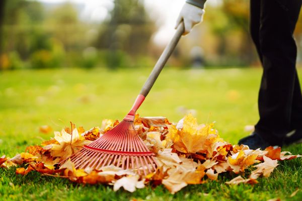 Cost of Ditch Leaf Removal in Santa Fe