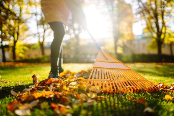 Leaves Raking in Santa Fe