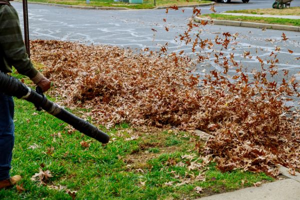 Garden Leaf Removal in Santa Fe