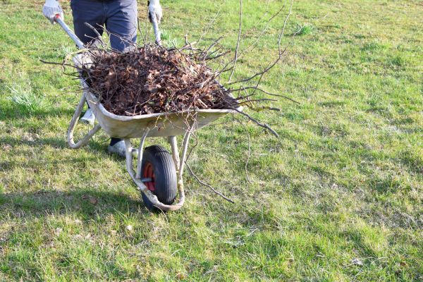 Yard Brush Removal in Santa Fe