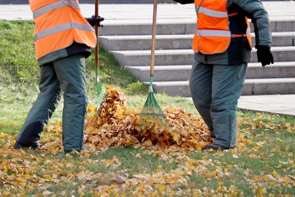 Cost of Leaf Hauling Service in Santa Fe