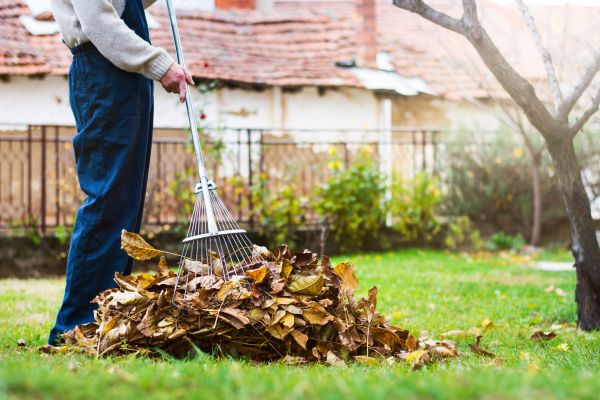 Spring Lawn Cleanup in Santa Fe