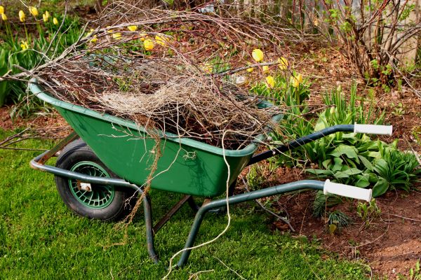 Lawn Waste Removal in Santa Fe