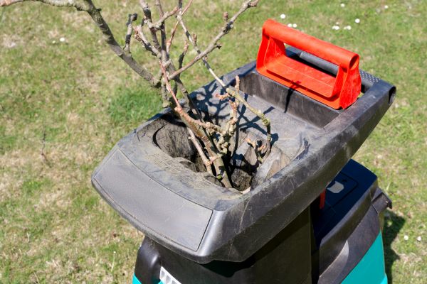 Cost of Brush Cleanup Service in Santa Fe