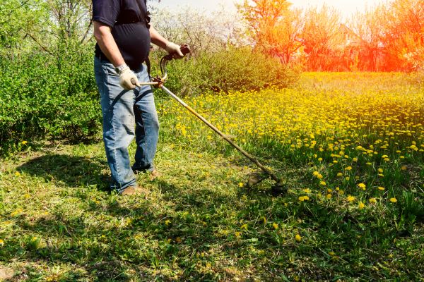 Yard Clearing Service in Santa Fe