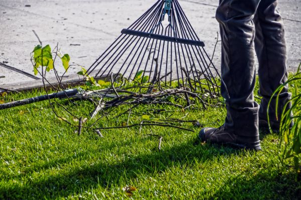 Yard Debris Cleanup in Santa Fe