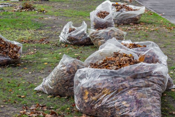 Leaf Pile Disposal in Santa Fe