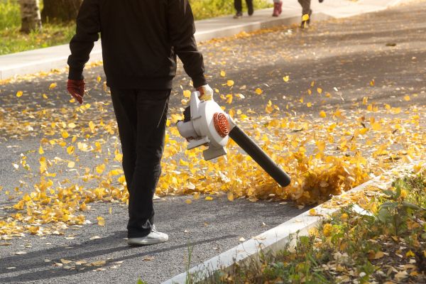 Commercial Leaf Removal in Santa Fe