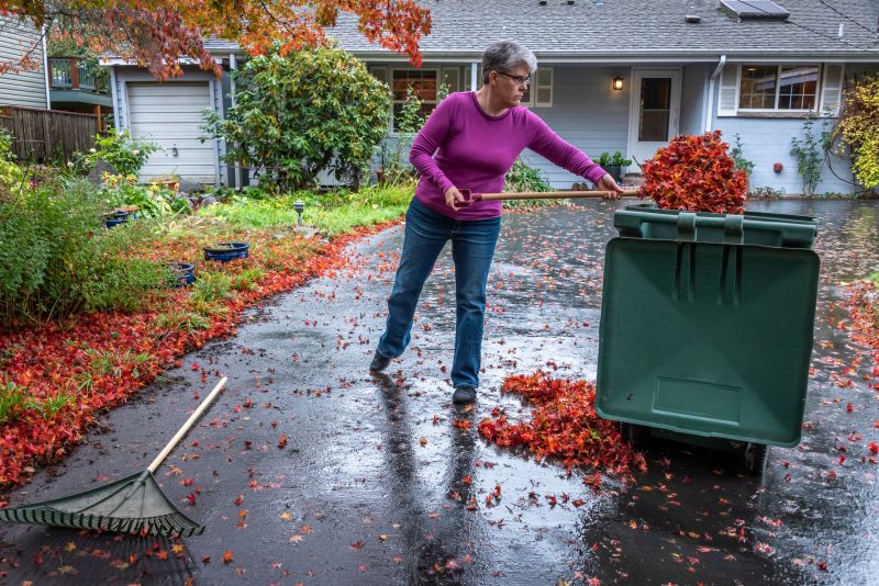 Clear Yard After Leaf Removal