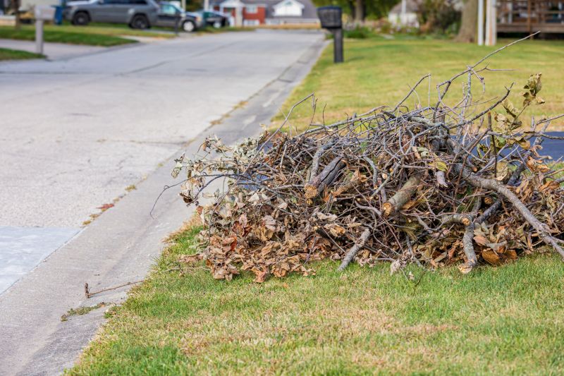 Leaf and Debris Removal