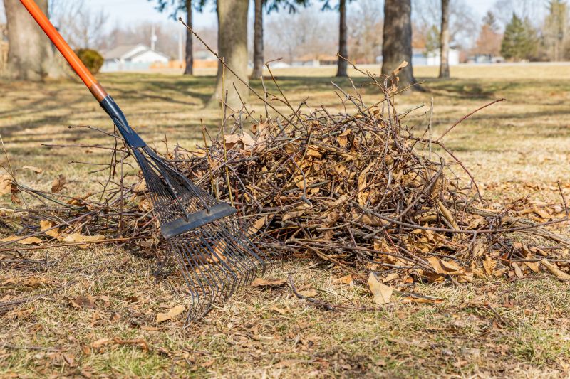 Lawn Debris Cleanup