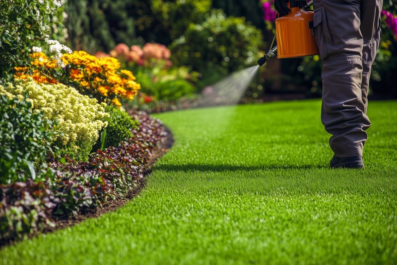 Seasonal Lawn Maintenance